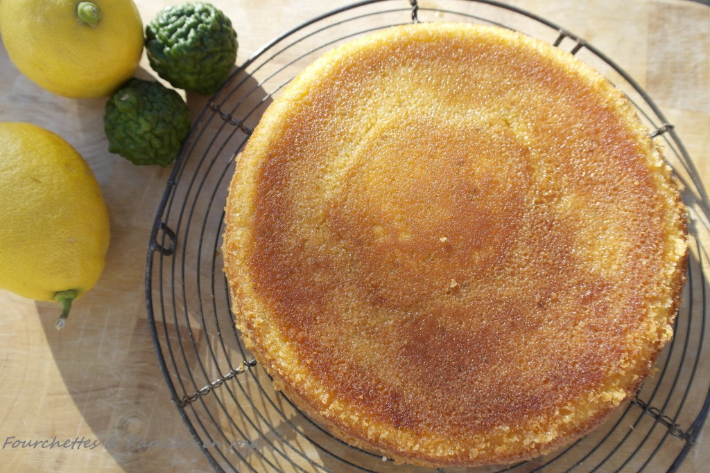 Gâteau fondant au citron ( The lemon cake )
