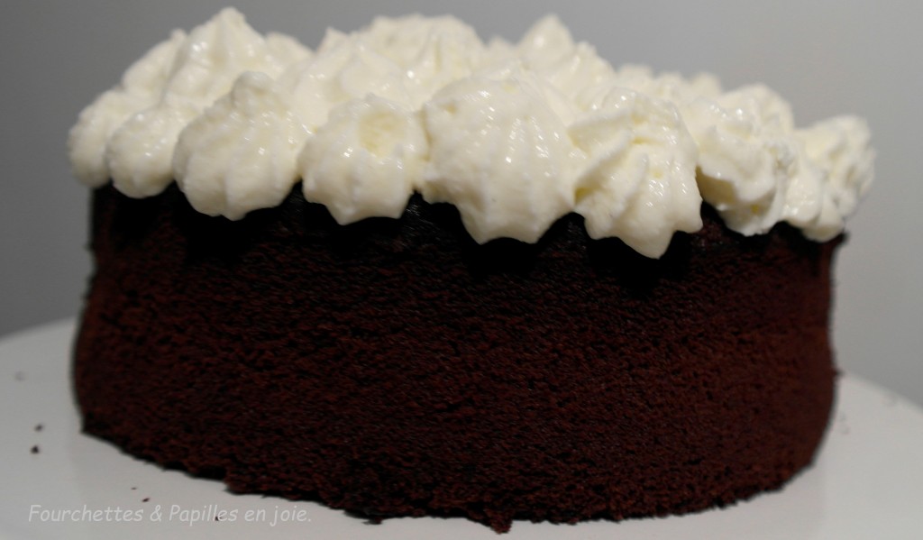 Gâteau au chocolat et à la bière (Guinness chocolate cake)